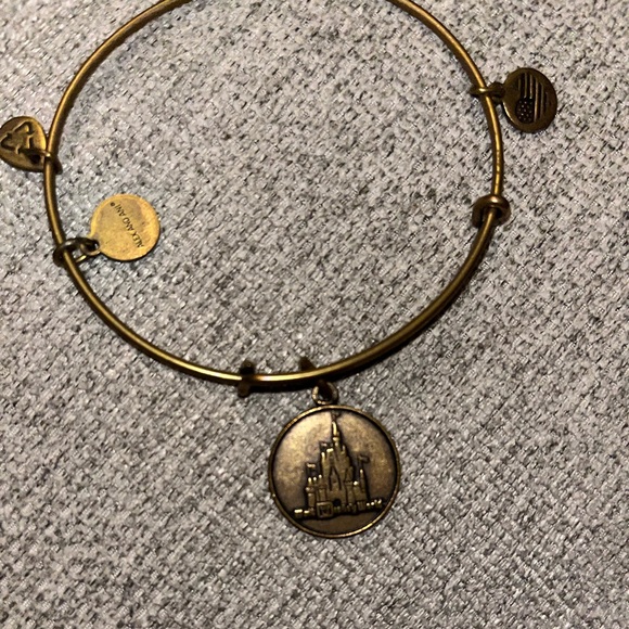 Alexi and ani bracelet : Walt Disney World - Picture 3 of 3